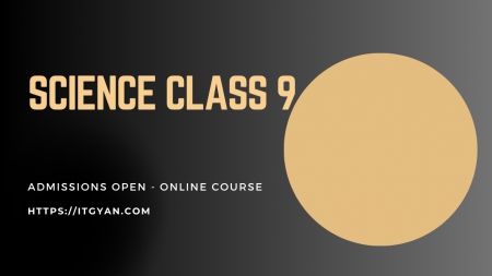 Online Courses
